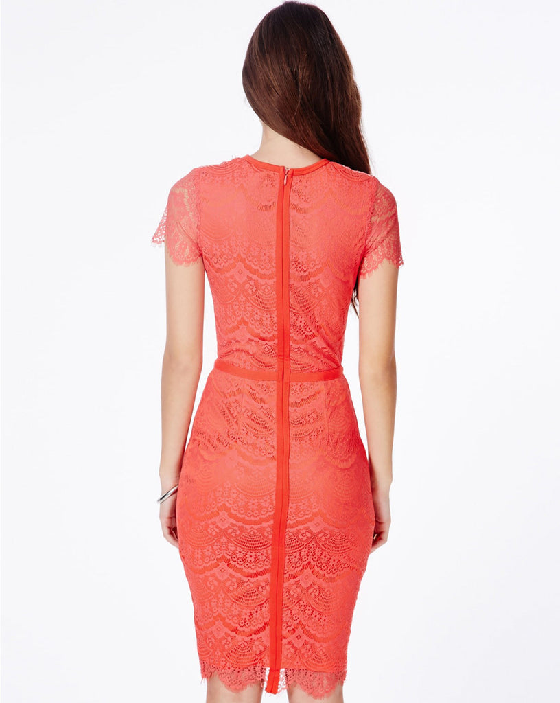 Rose-print bandage dress
